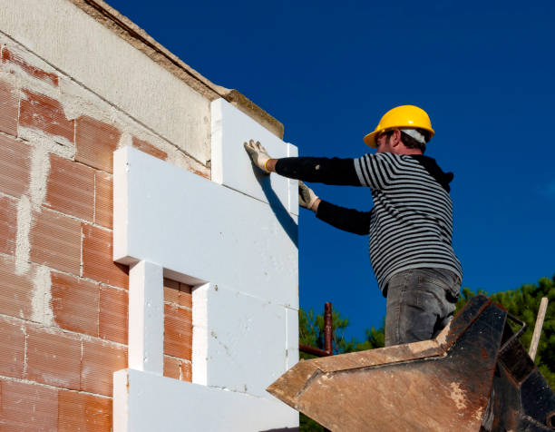 Best Local Insulation Services  in Beulaville, NC