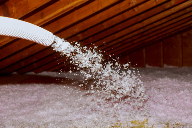 Garage Insulation Installation in Beulaville, NC