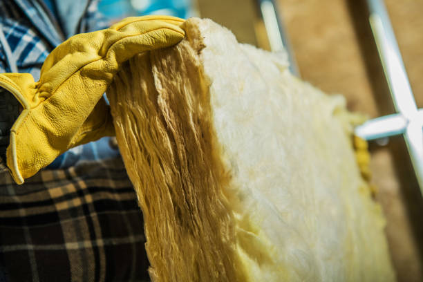 Best Insulation Removal  in Beulaville, NC