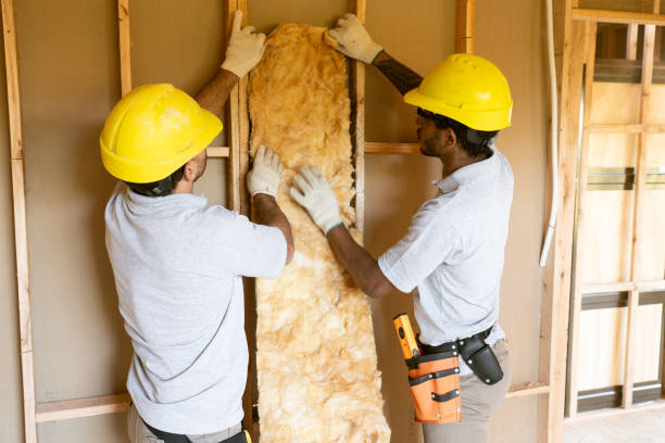 Best Best Insulation Companies  in Beulaville, NC