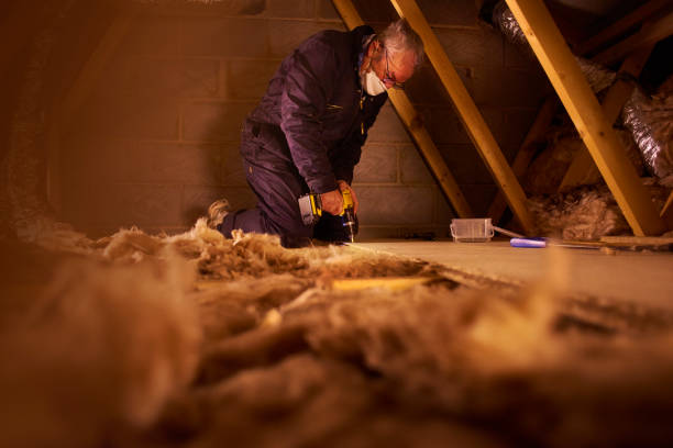 Best Blown-in Insulation  in Beulaville, NC